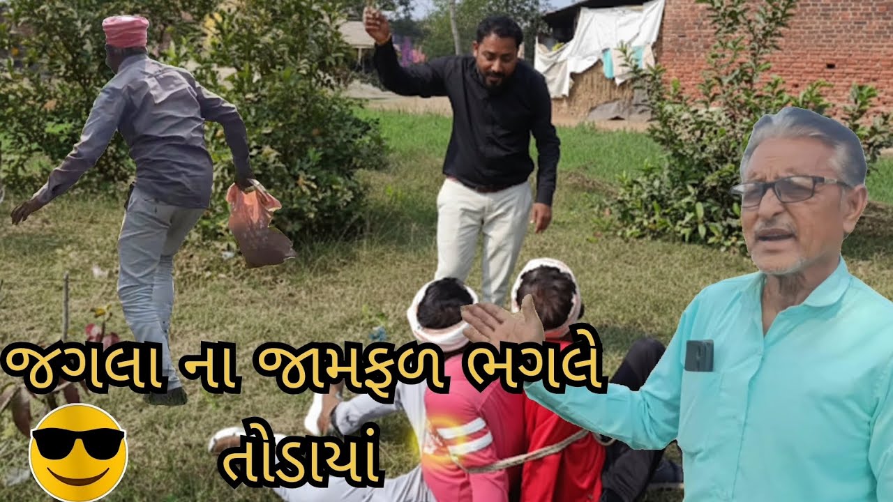 જગલા ના જામફળ ભગલે તોડાયાં (કોમેડી વિડિયો)#####. 