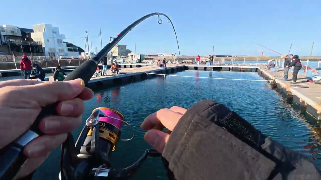 【海上釣堀】2025/12/1 (J's Fishing 城ヶ島海上イケス釣堀 )