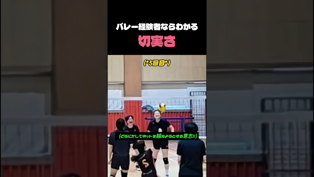 バレー経験者ならわかる切実さ