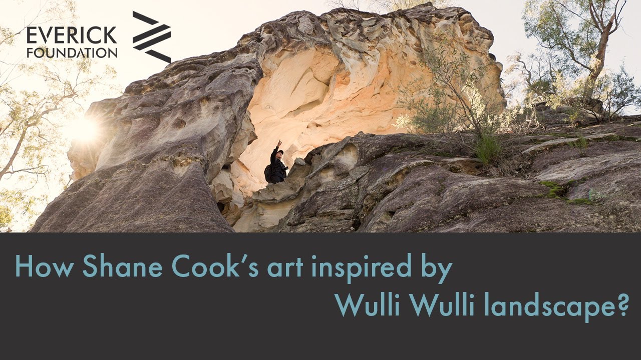 How Shane Cook's art inspired by Wulli Wulli landscape?