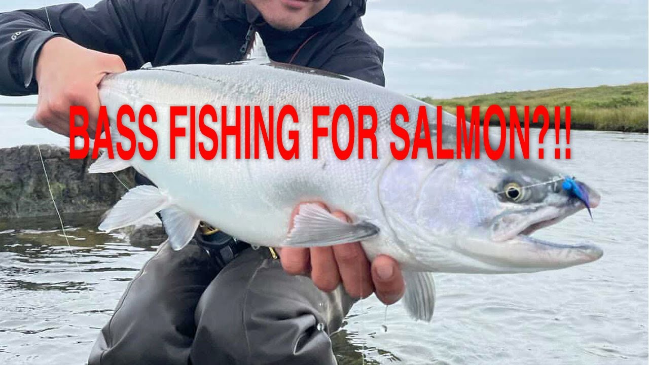 Ловля лосося?!! Как поймать дикого кижуча.