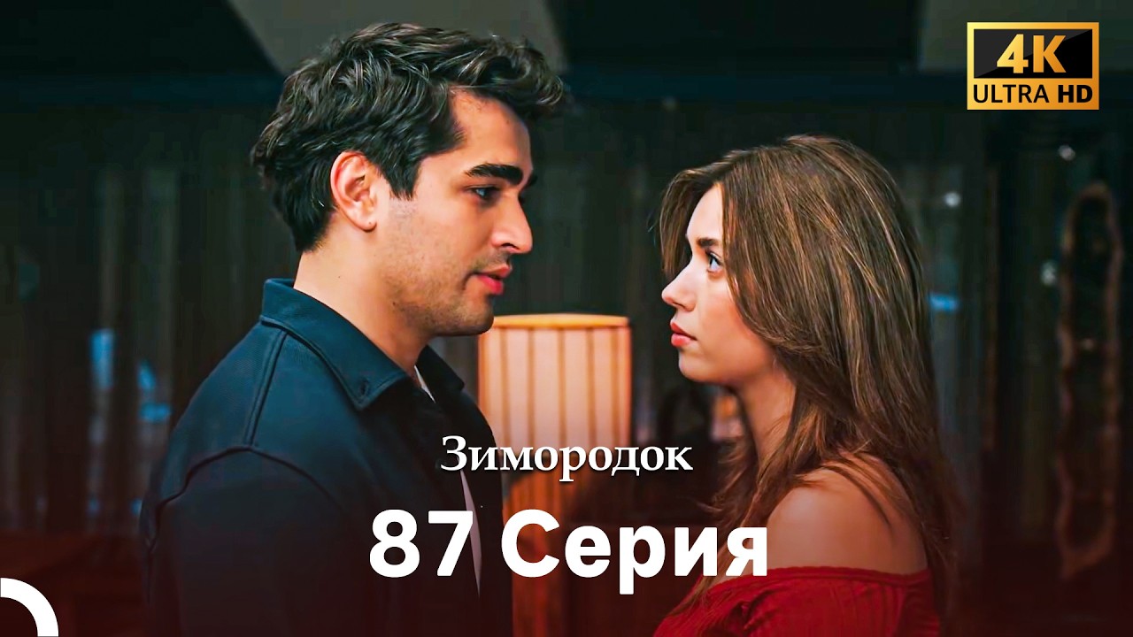 Зимородок 87 Cерия (Русский дубляж) (4K)