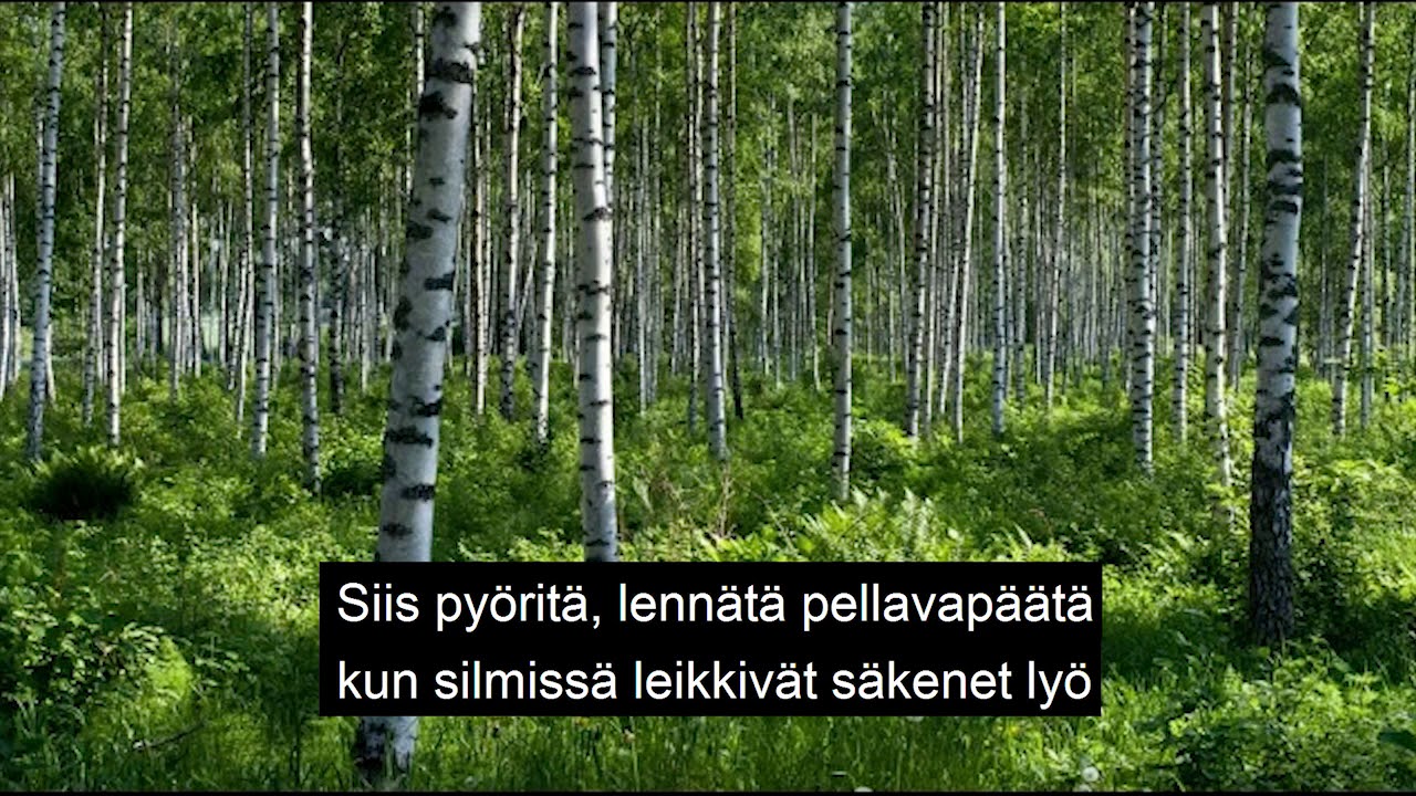Saarenmaan valssi  ~ Georg Ots   (Finnish version )  (Lyrics)