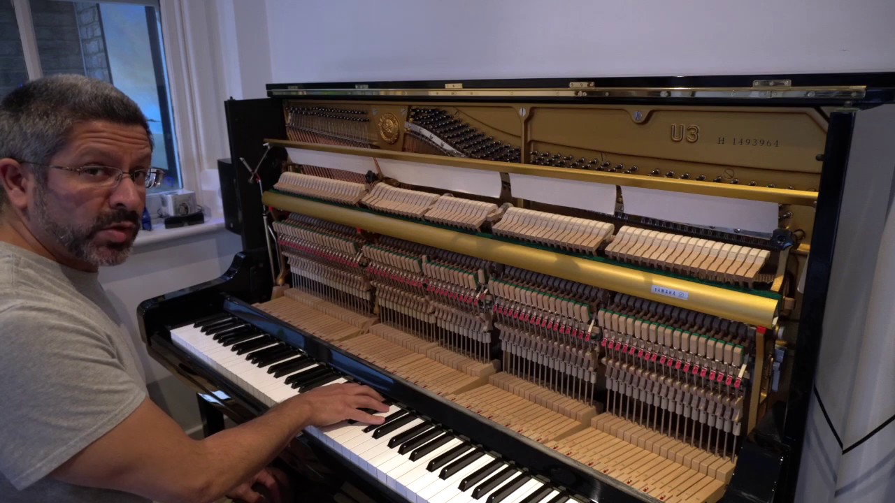 Spot Piano tuning at home