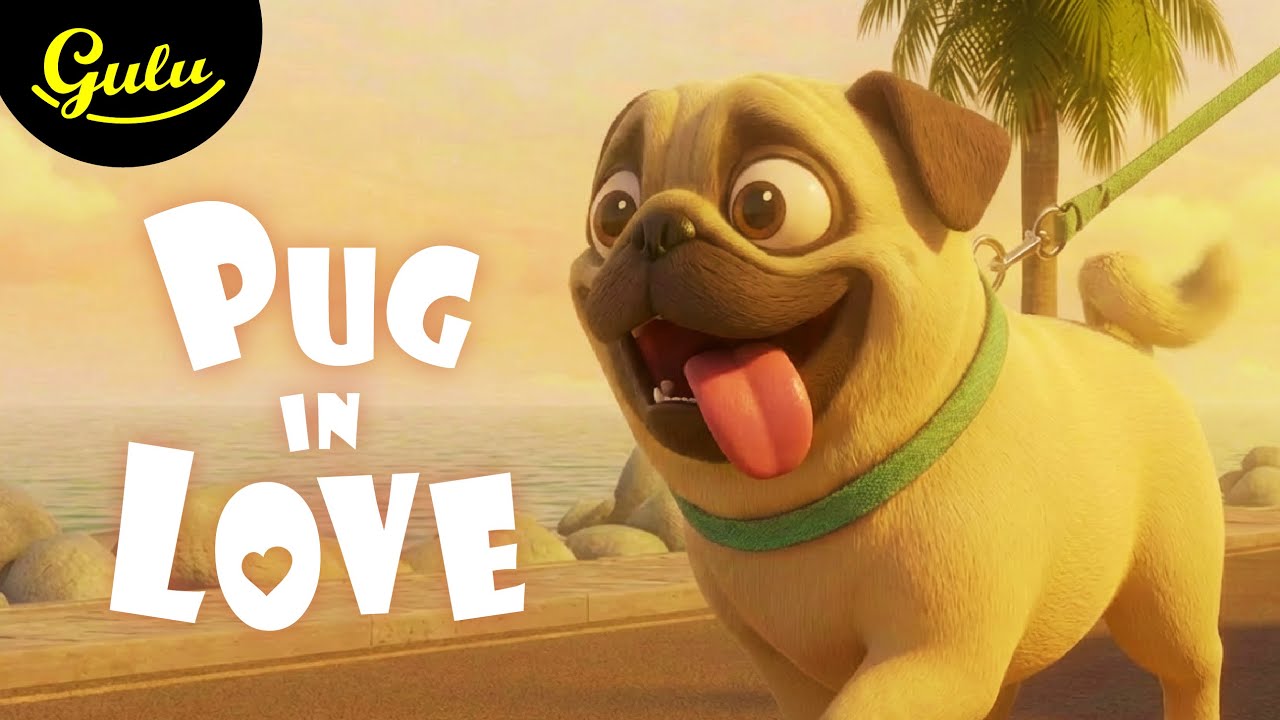 Pug in Love - Animated Short Film by GULU 