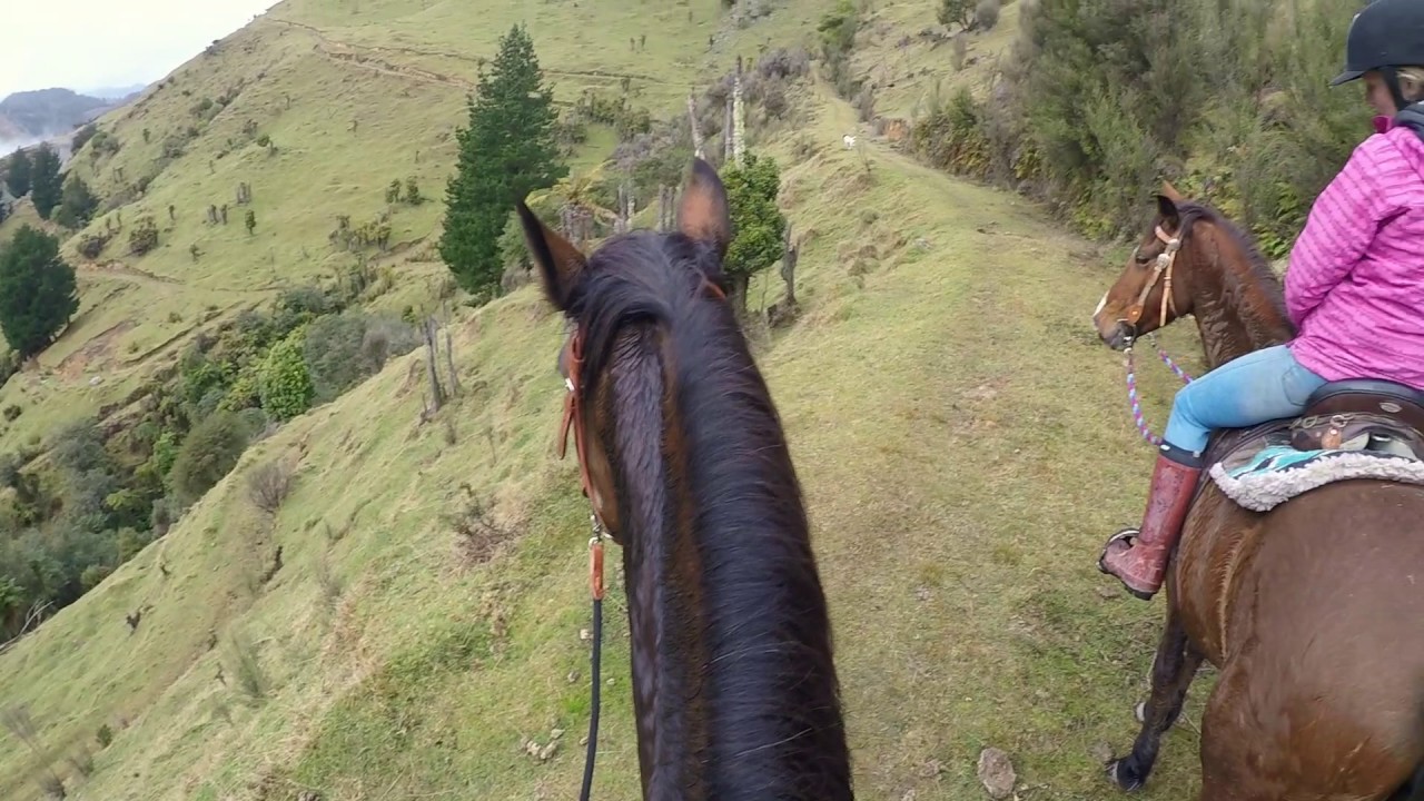 Horse Riding the Waioka Gorge, New Zealand!