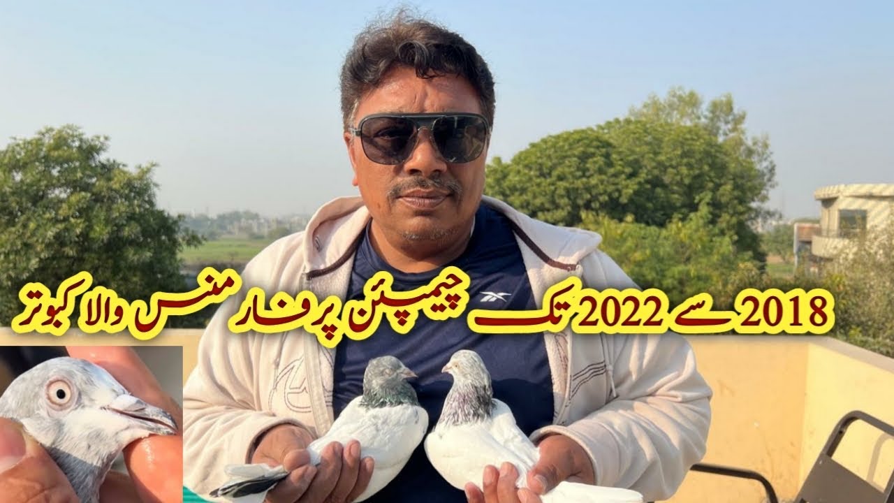 2018 se 2022 Tak High Class Performance Dene Wala Kabootar | Ustad Mian Moshi