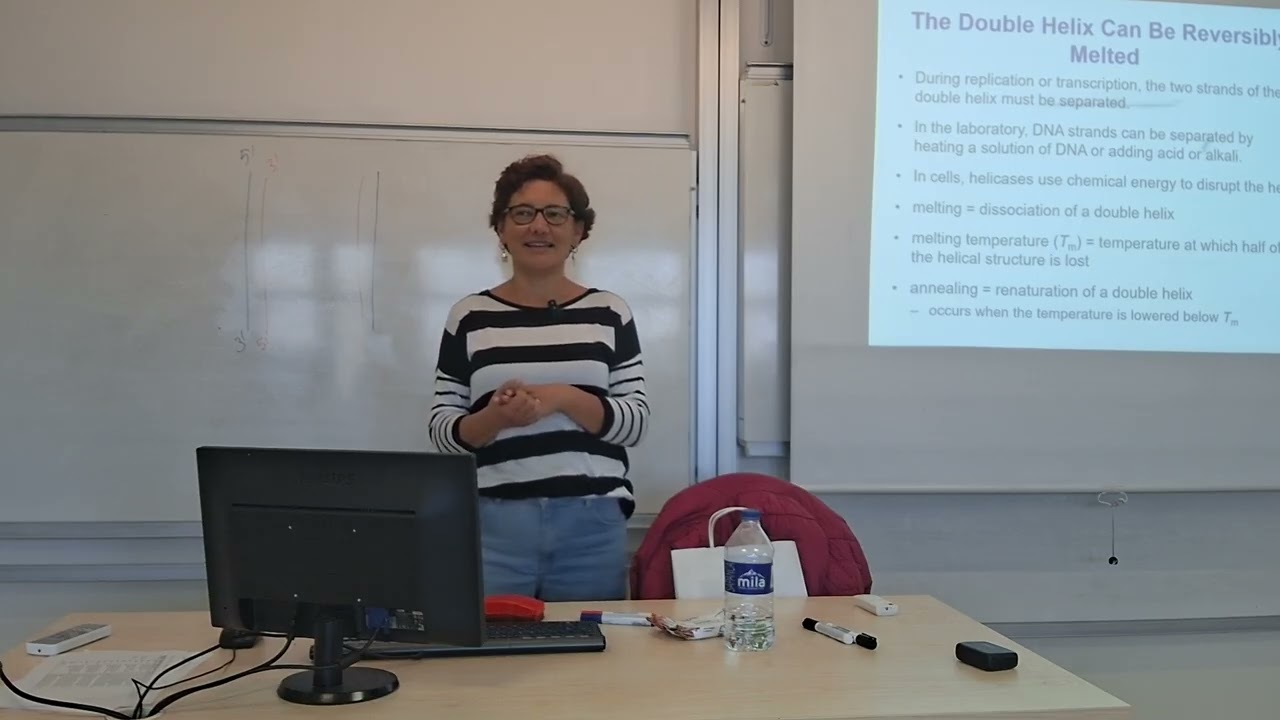 Biochemistry Ch08-3 | DNA RNA structure | Double helix