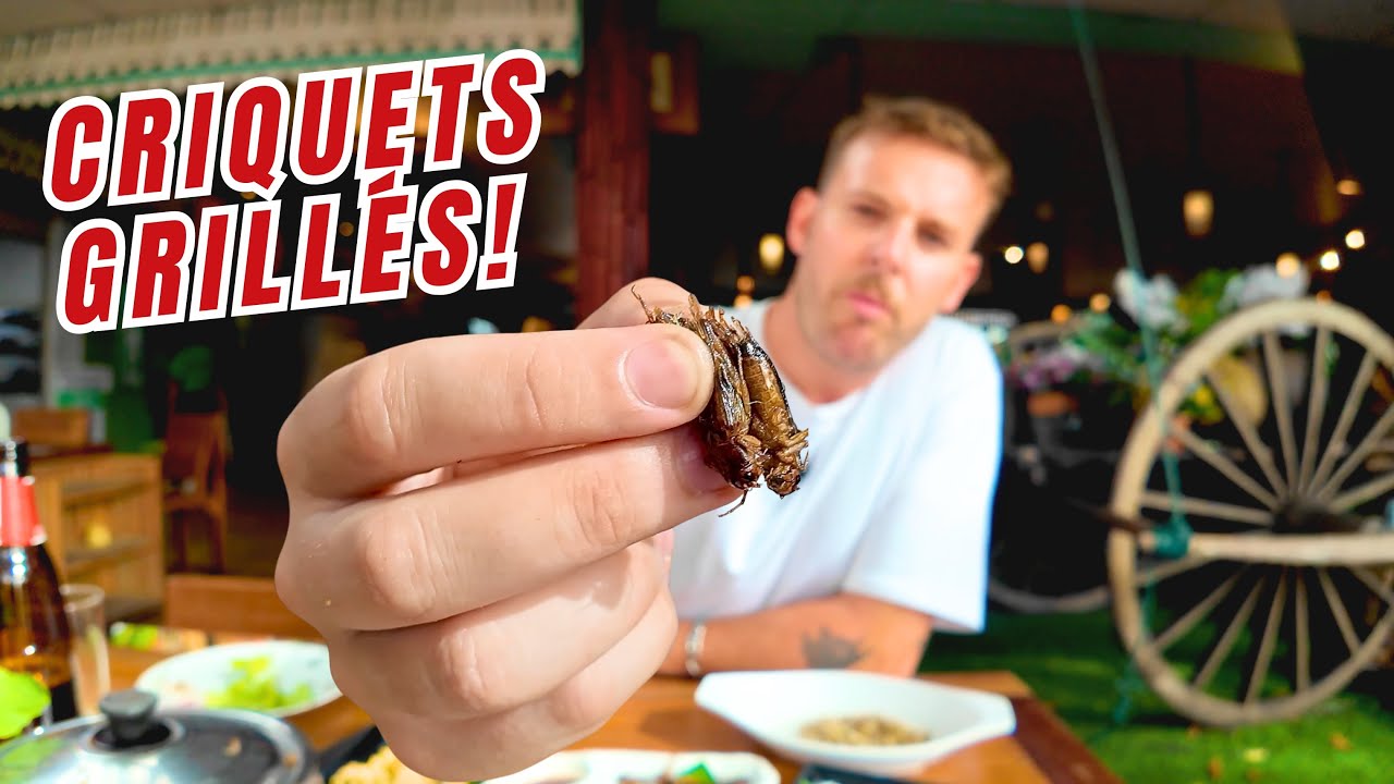 Je MANGE des INSECTES à BANGKOK! 🤢 Retour d’expérience 