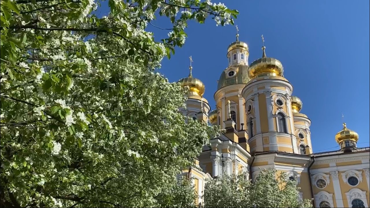 💖Между зимой и летом. С любовью из Петербурга: о весне в городе и Ленобласти.