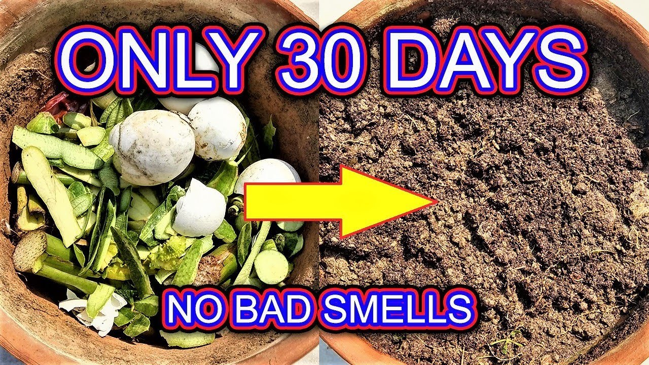 Make kitchen waste compost easily at home (English subtitles )