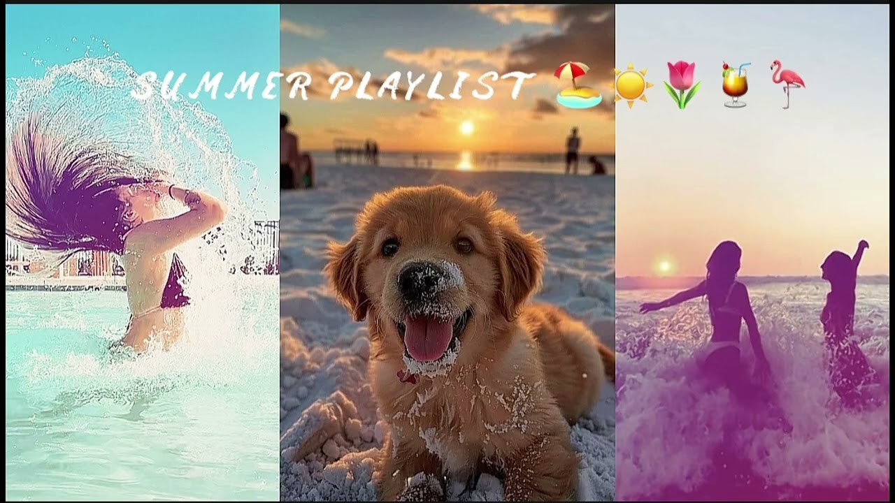 SUMMER PLAYLIST 🏖️☀️🌷🍹🦩