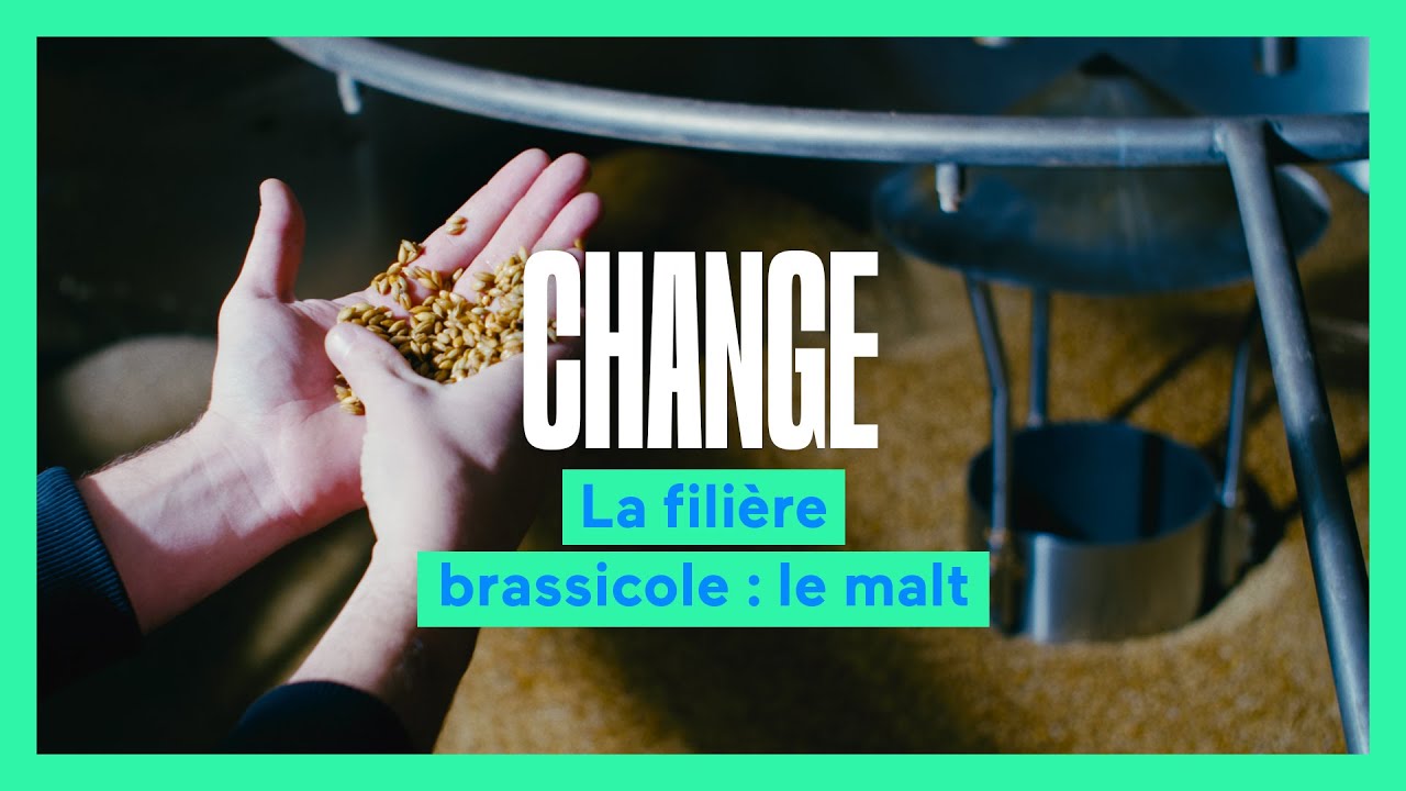 CHANGE S3 – E3 : les malteries françaises émergent ! | NINKASI STORIES