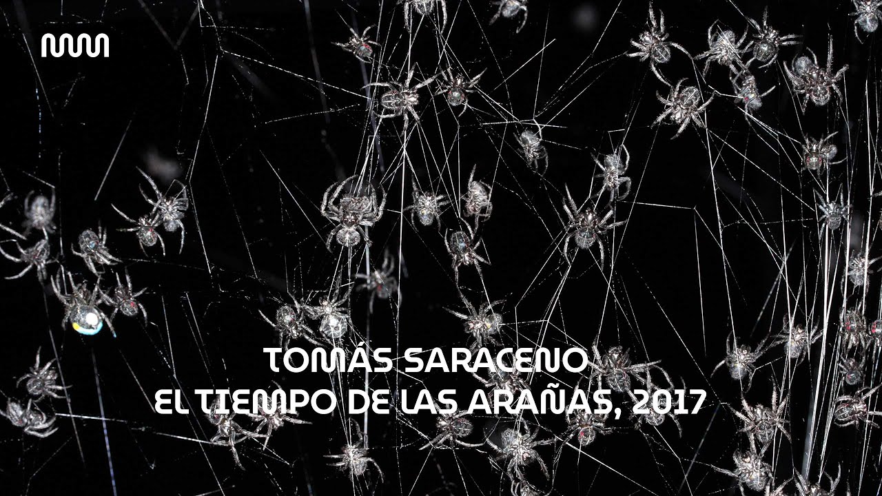 Tomás Saraceno: El tiempo de las arañas, 2017