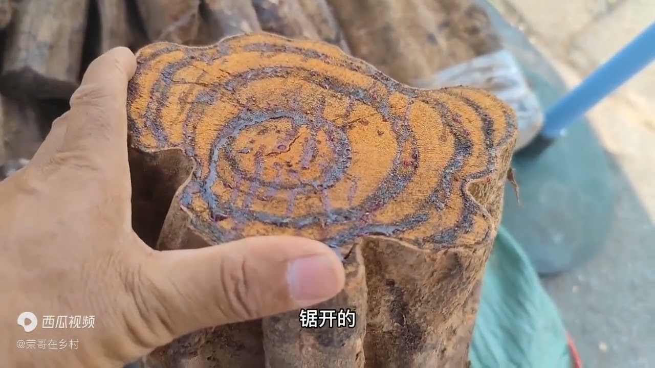 中山横栏镇三沙怪现象，人到那里去了？看着大街又是失望的一天