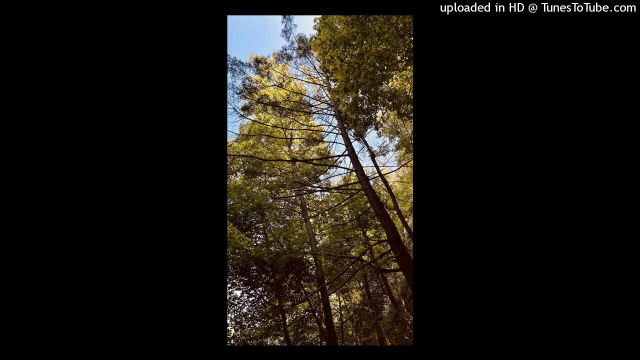 indie folk type beat 
