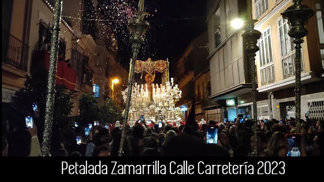 Amargura (Zamarrilla) 2023 | Petalá Calle Carretería