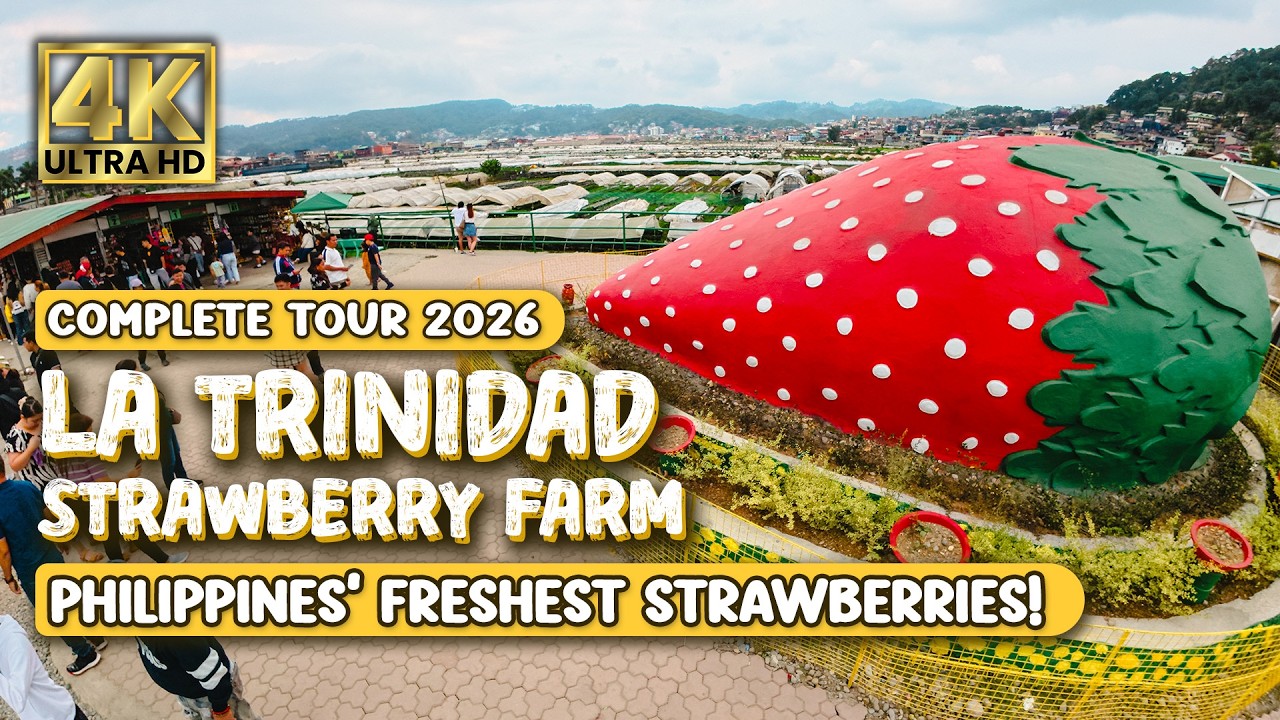 Philippines' AMAZINGLY HUGE Strawberry Farm! | La Trinidad Strawberry Farm | Complete Tour 2026