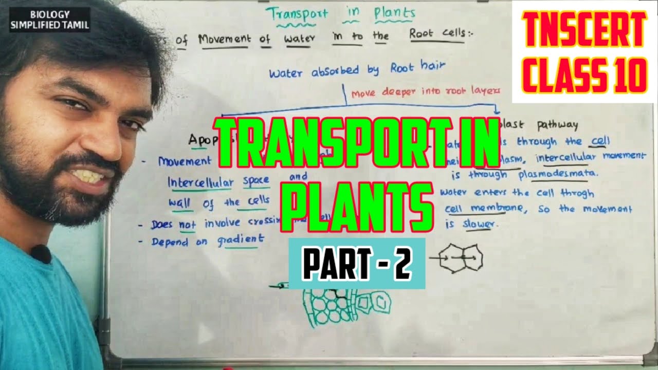 Transport in Plants | Part 2 | TNSCERT Class 10