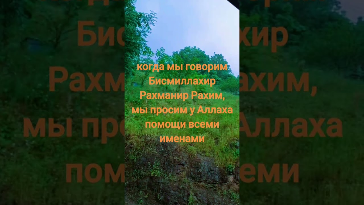 Когда говорим Бисмиллахир Рахманир Рахим, мы просим помощи у Аллаха всеми Его именами#shortsvideos 