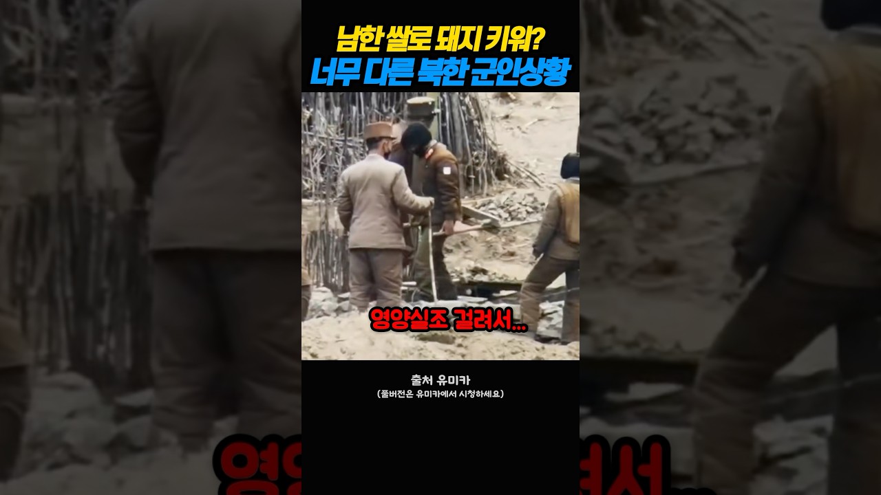 남한이 보낸 지원 쌀이 북한 상위 1%의 '돼지 사료'가 된 이유