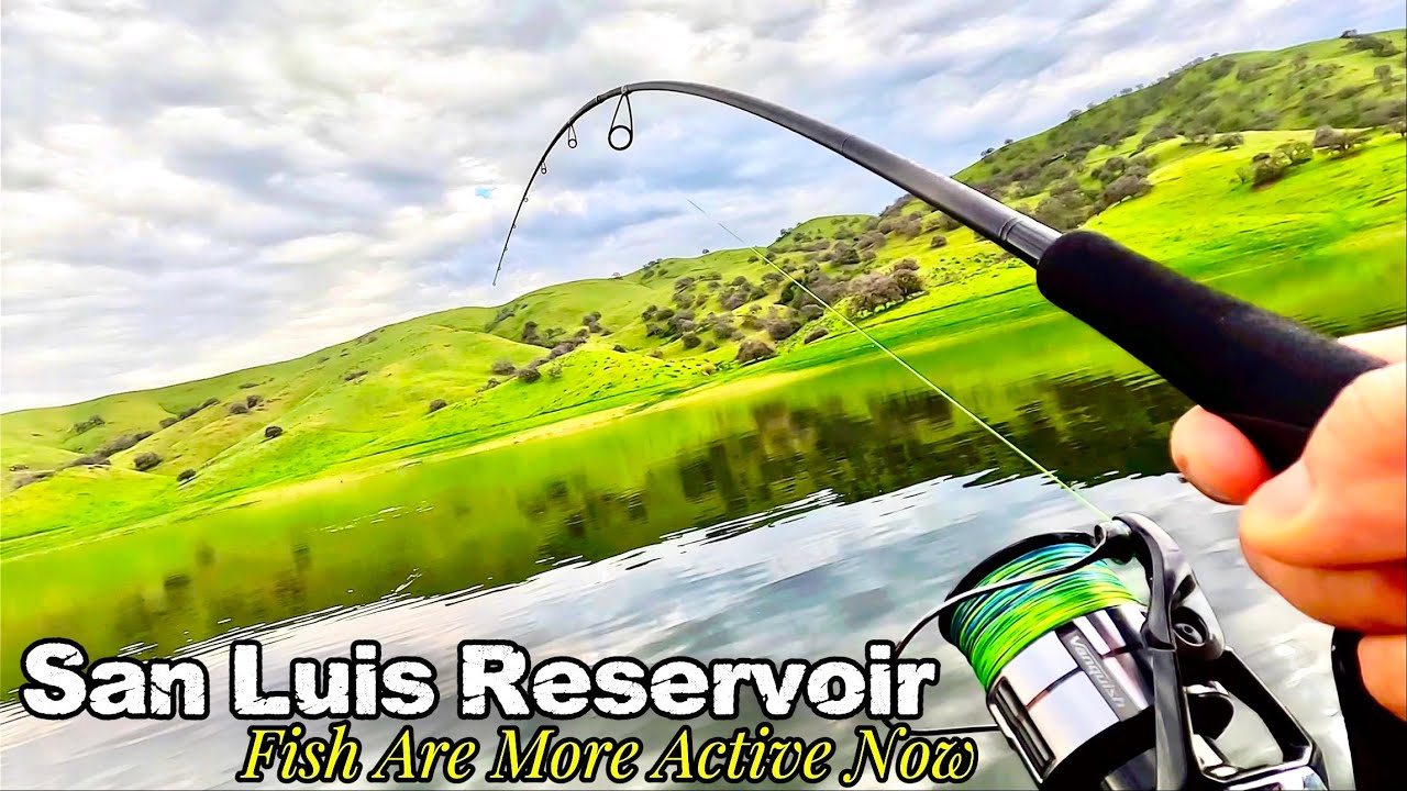 San Luis Reservoir, Early February Striper Fishing 2026