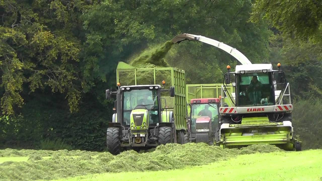 Silage 2011 - Enter the Claas Jaguar 870