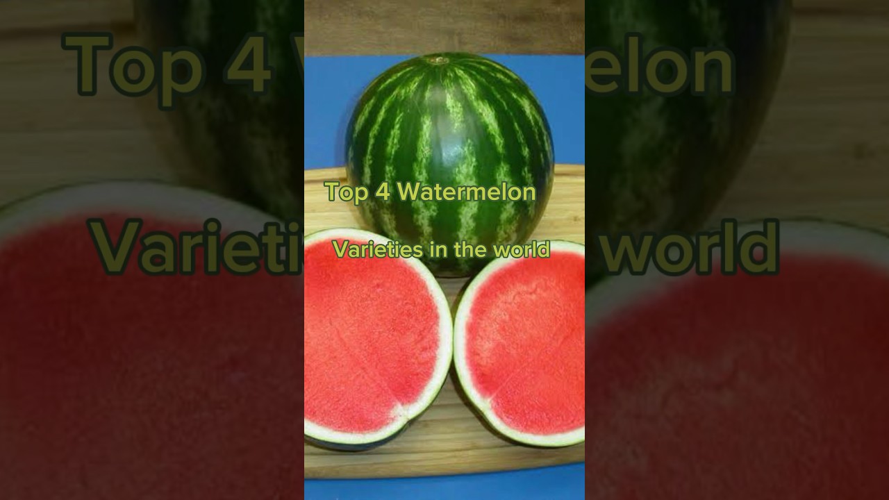 #{Top 4 Watermelon 🍉 Varieties in the world}