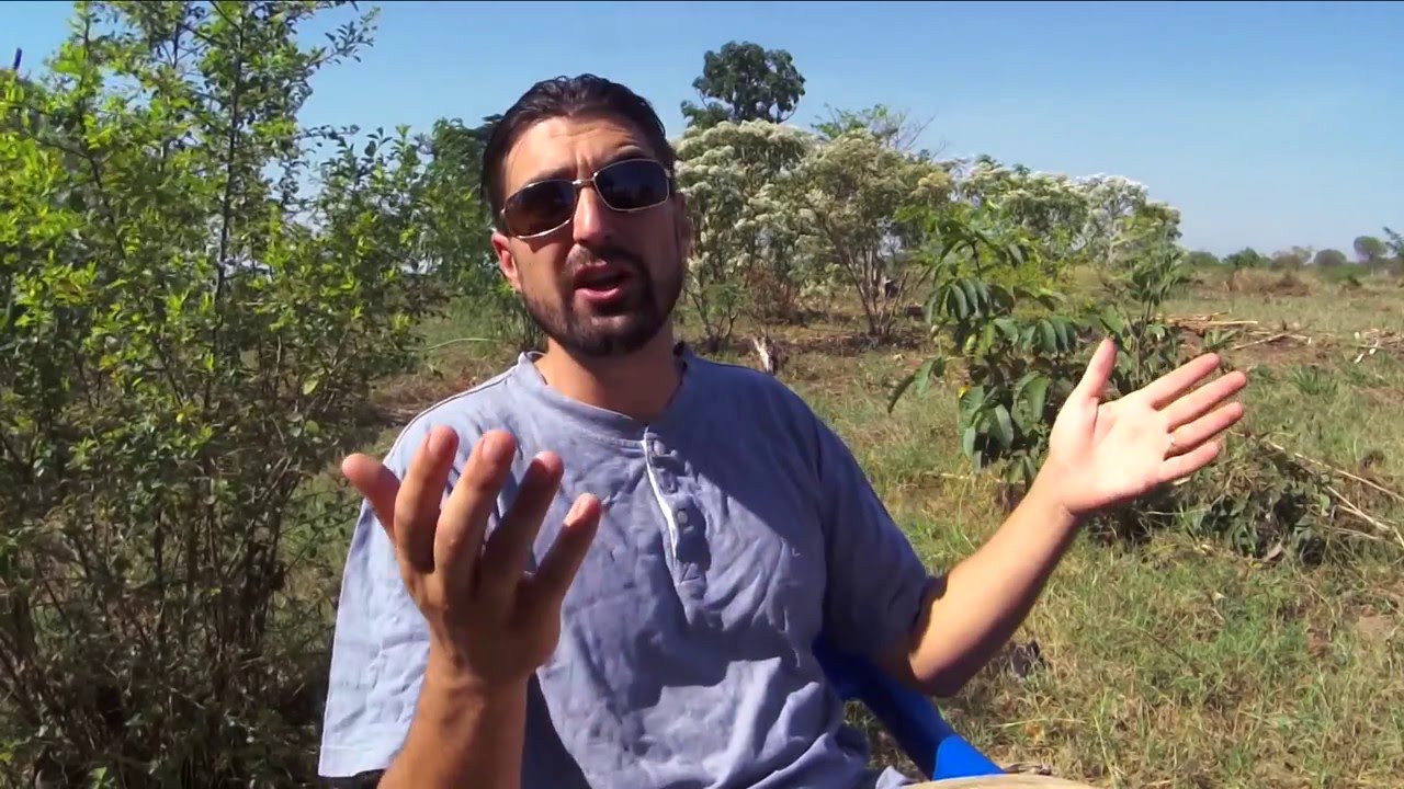 Priceless Farms, on Lake Kyoga, Uganda