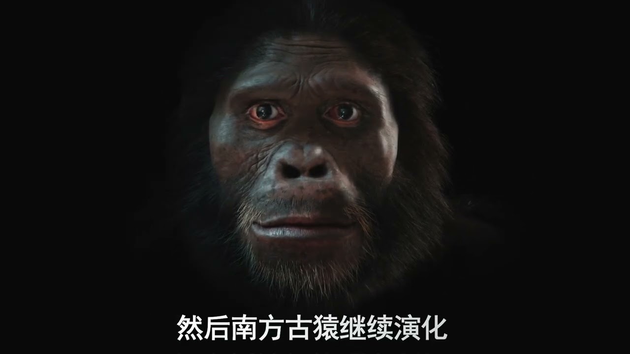 为什么总有人质疑进化论，反而去相信神创论？