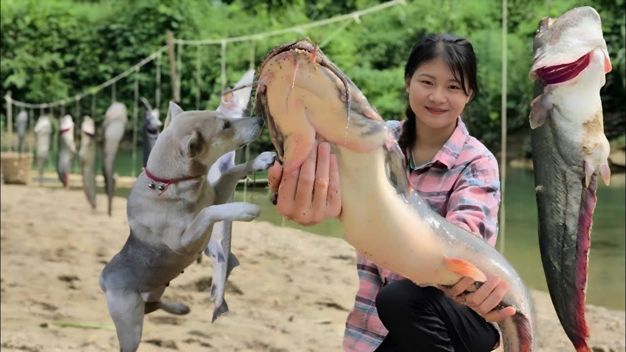 Two smart and hard-working dogs help a Vietnamese girl go fishing for a living - ha thi muon
