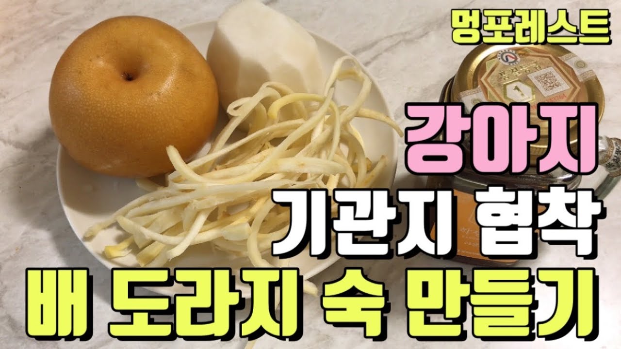 강아지 기관지 협착에 좋은 배 도라지 숙 만들기~!!!