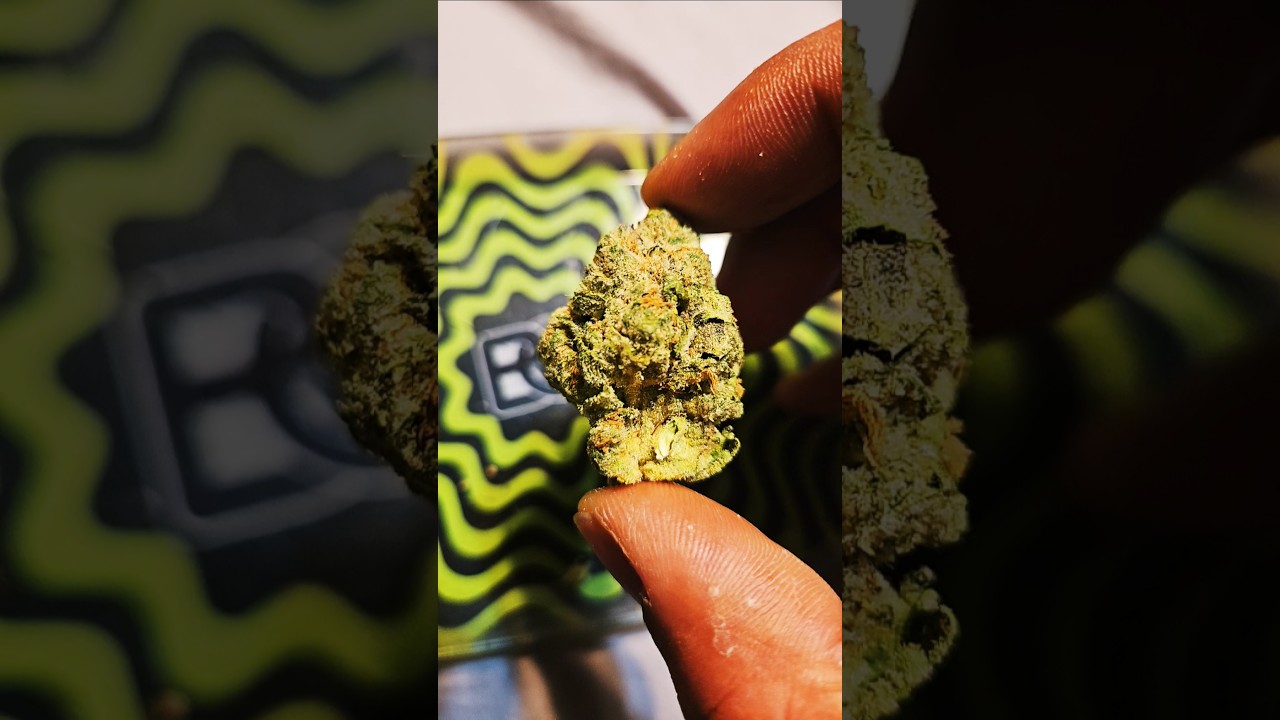 DRUNKEN STRAWBERRIES BY BEDFORD GROW!