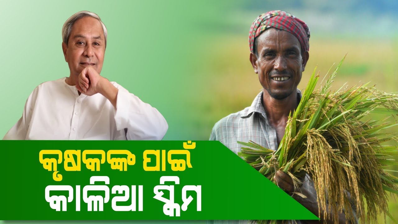 Odisha Cabinet Approves 