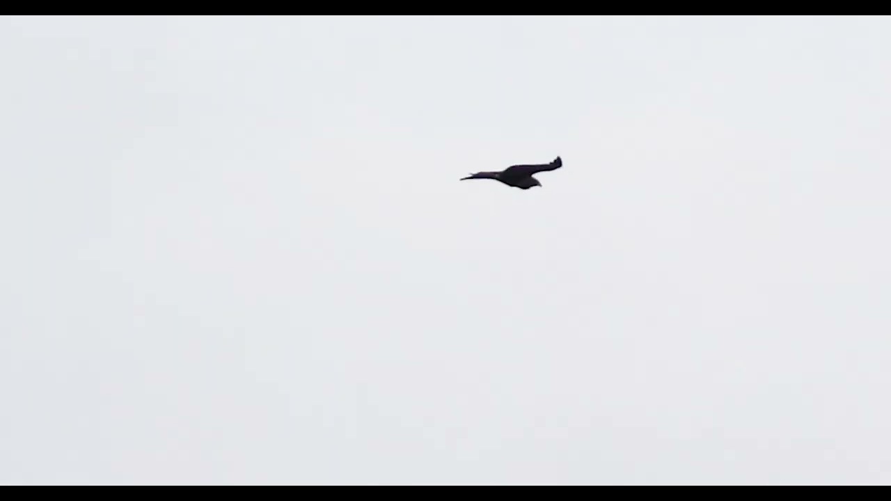 20251222_Hageven