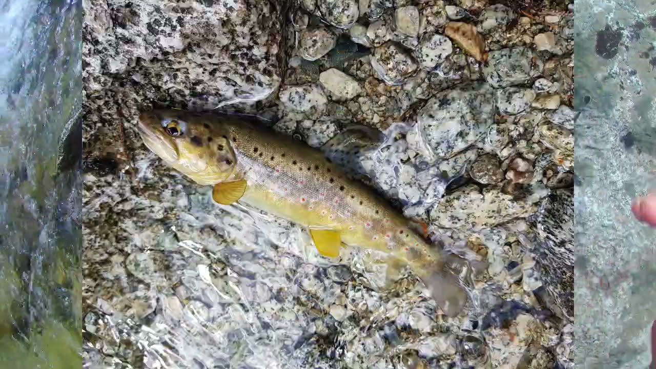 Val di Sole micro torrente 