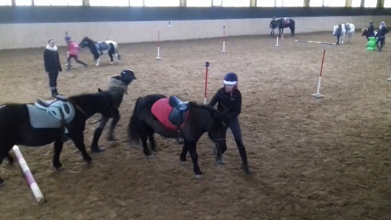 jeux à poney, chute