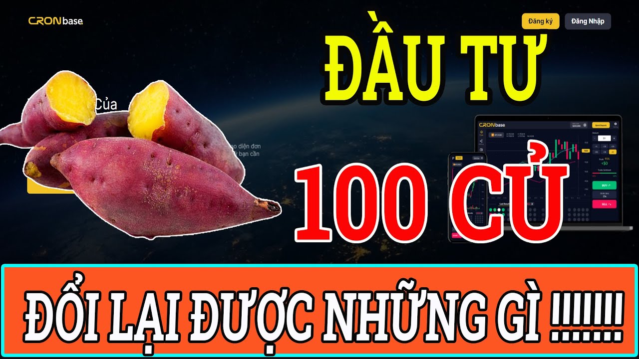 Phương Ph&aacute;p Trade Bo 2025 || Đầu Tư 100 Củ Khoai Th&igrave; Sẽ Nhận Lịa Được G&igrave; ở Thị Trường Bo !