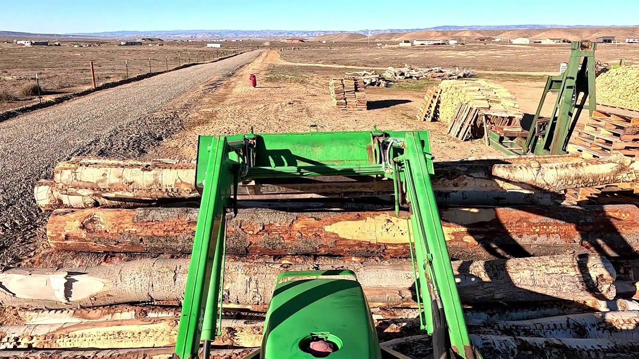 Firewood Sorting Logs for Size and Moisture
