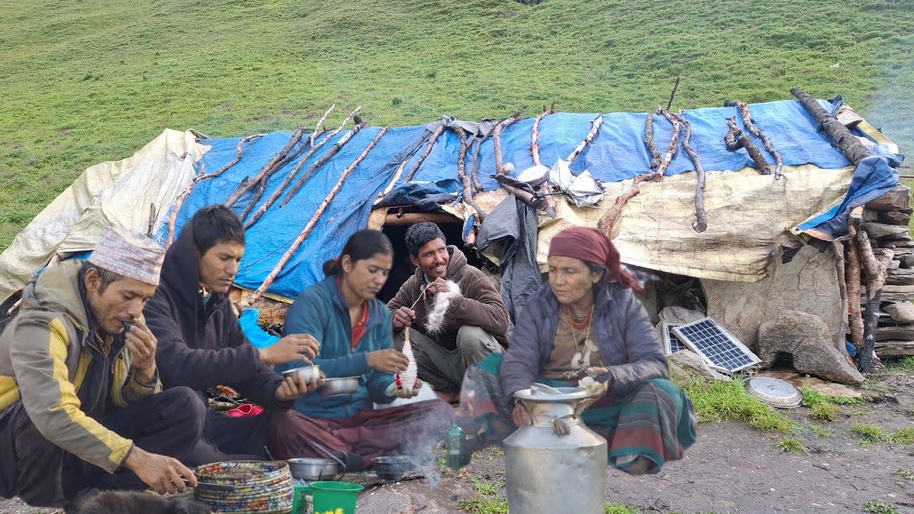 Organic  food cooking in Sheperd Family ll Cooking and Eating A Very organic Shepherd food ll
