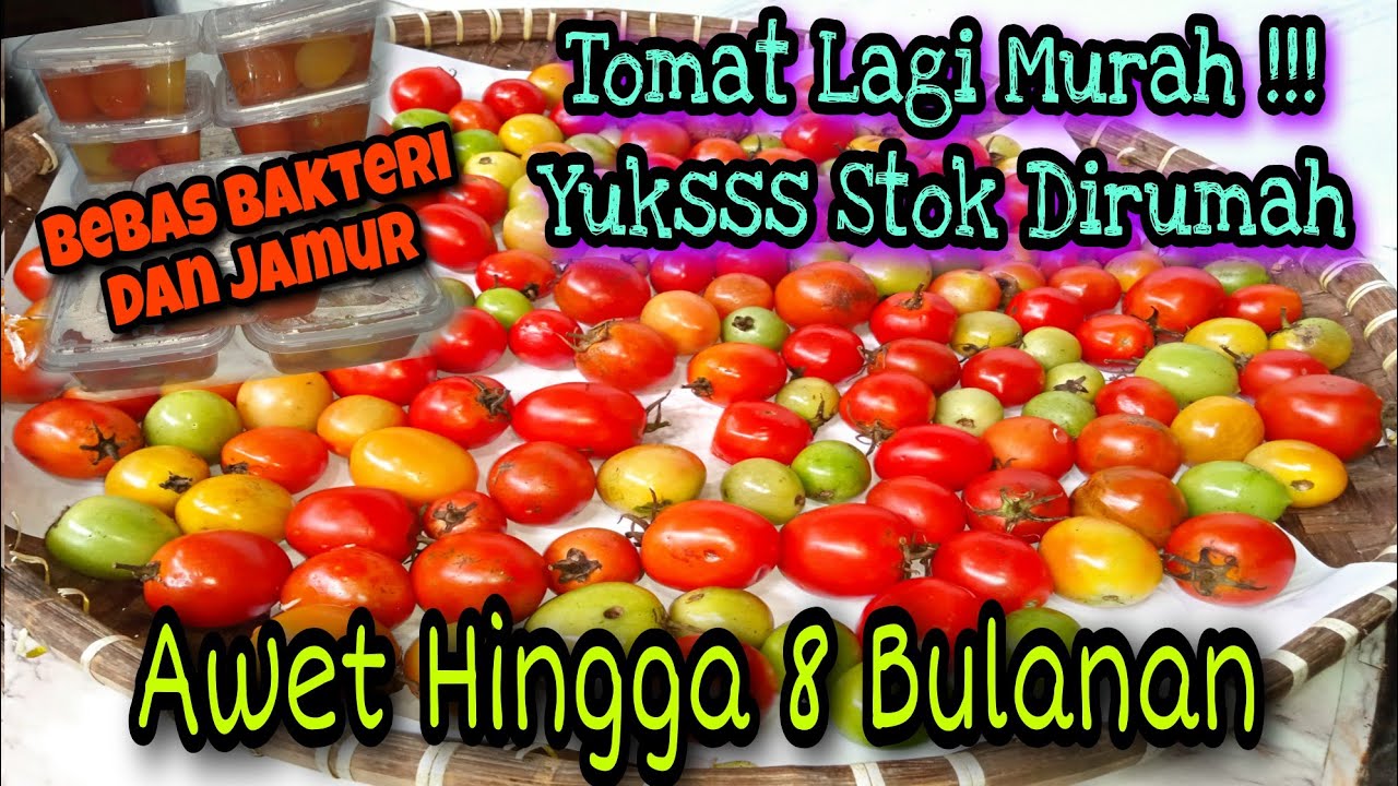 Cara Menyimpan Tomat Agar Awet Hingga 8 Bulanan⁉️Bebas Bakteri Dan Jamur‼️