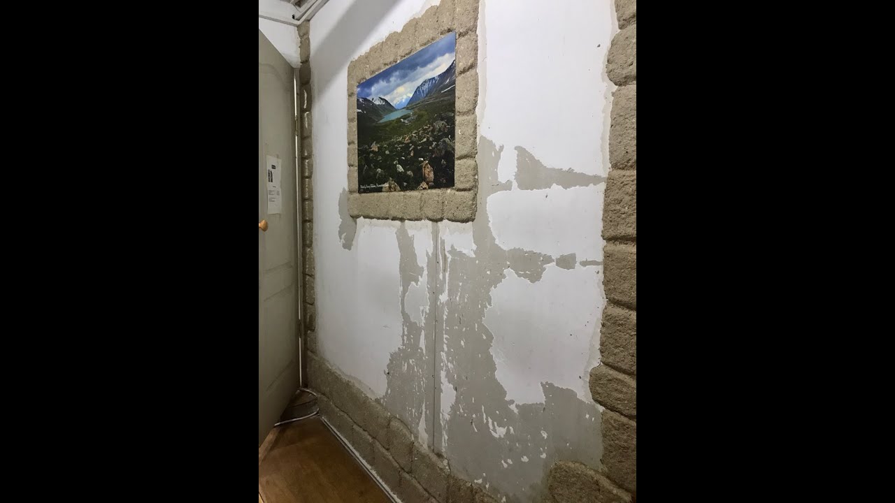 Стена под камень из яичных лотков.