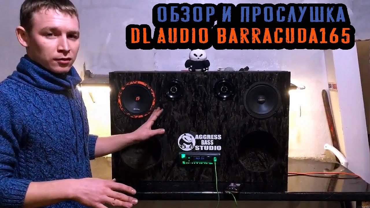 Обзор и прослушка DL Audio Barracuda 165