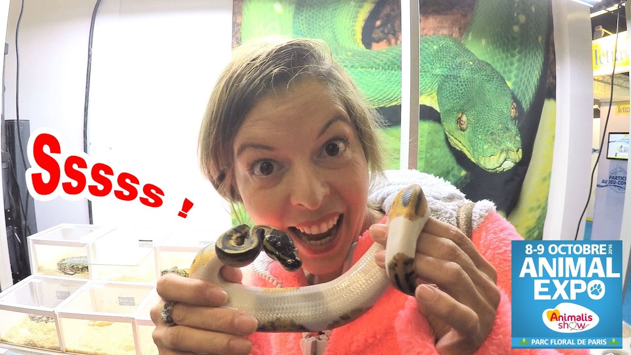 ANIMAL EXPO 2016 : Rencontre avec les serpents au parc floral !