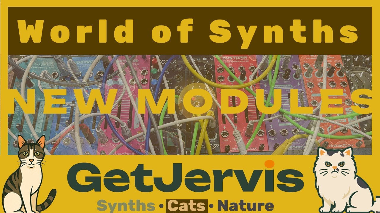 Synth Secrets: New Module day Episode 64  #chat #cat #synth #pittsburghmodular  #modularsynth