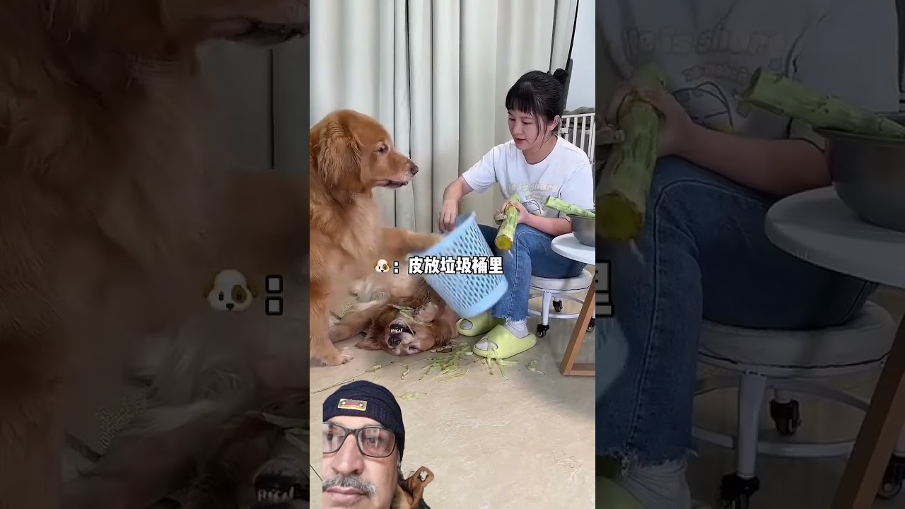 Duoduo I am worried every day. None of you worry-free. Cute pets have become sluts.I don’t know