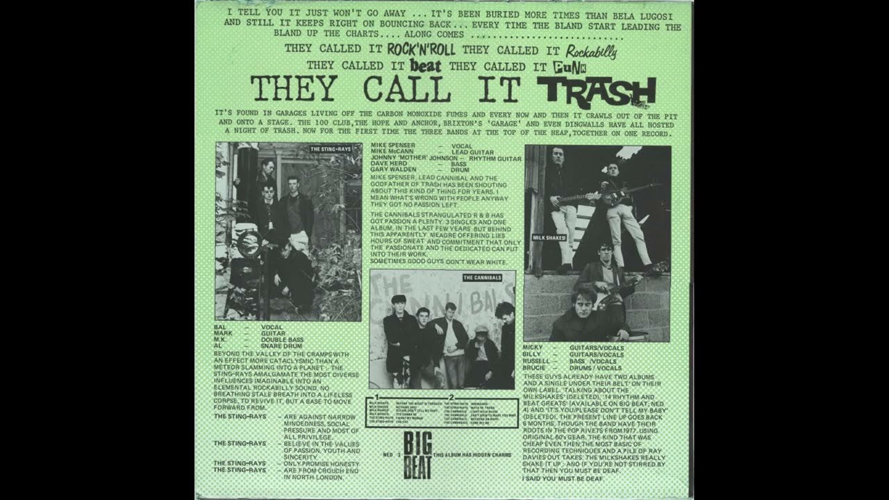 These cats aint nothin´ but Trash, 1983
