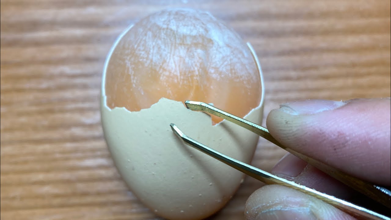 RAW EGG PEELING LIVE