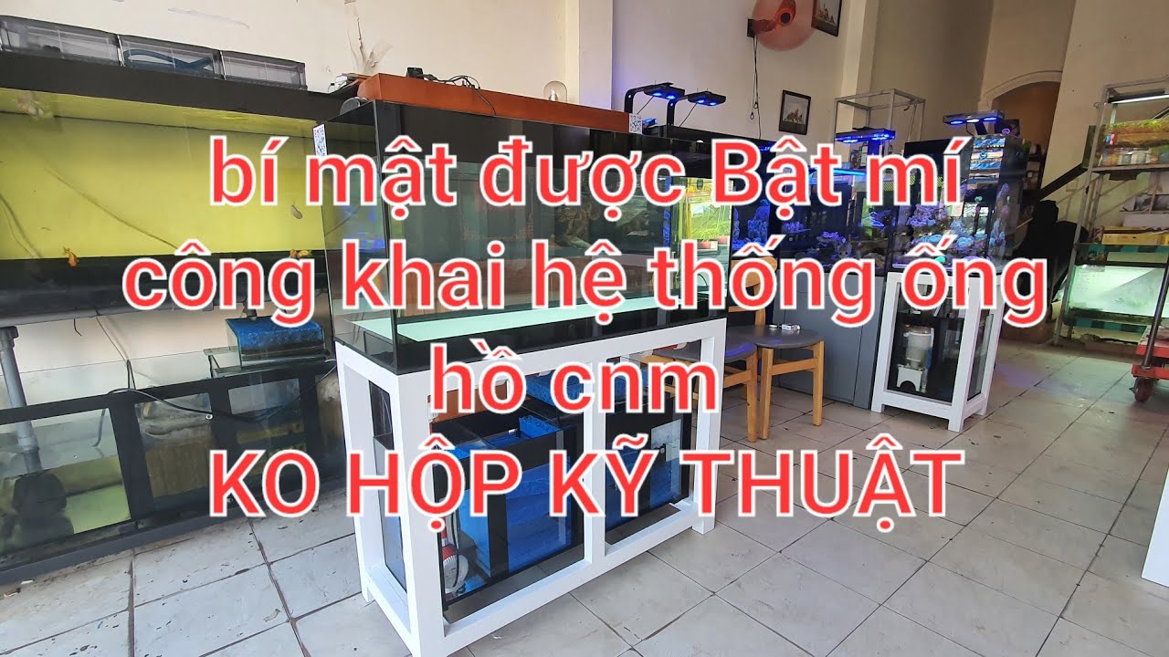 Bật mí hệ thống đường ống / hồ cnm không hộp kỹ thuật/ Aquarium Design VT