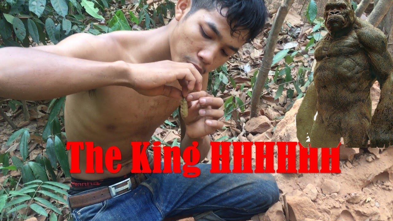 primitive technology find quail forest trap grilleds eating delicious